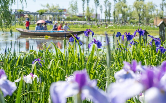 地域のきもの店として